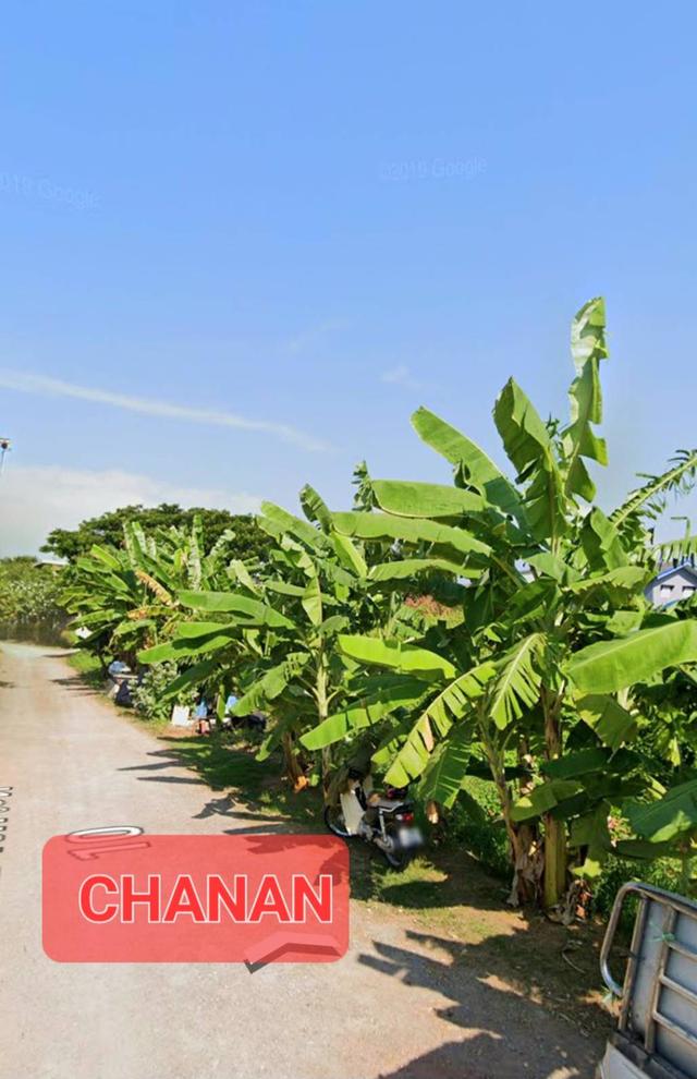 ขายที่ดิน ถ.พระราม2 ถ.บางกระดี่ ซ.10 เนื้อที่200ตรว 3