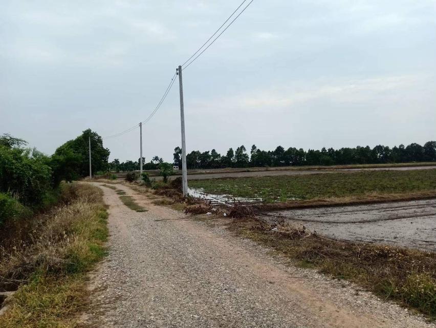 ขายที่ดิน 9.2 ไร่ พิษณุโลก ในเมือง 8