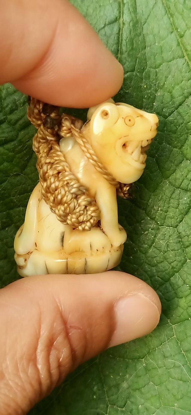 เสือเเกะ หลวงพ่อปานวัดบางเหี้ย รูปที่ 3