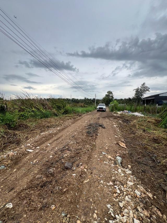 ที่ดินแปลงเล็ก เหมาะทำบ้านพัก ซ.พนารัตน์คลอง 9 อ.หนองเสือ จ.ปทุมธานี 8