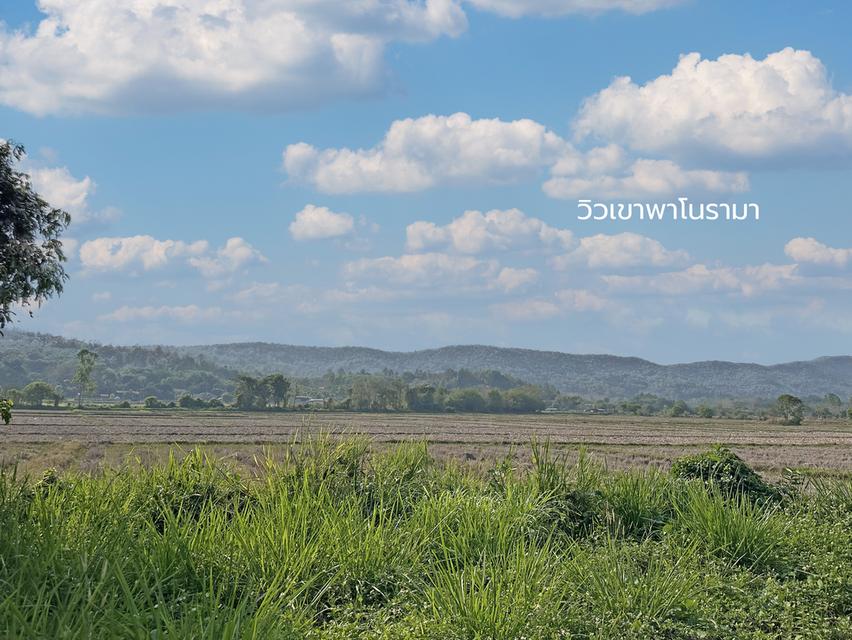 ขายที่ดินเปล่าพร้อมโกดังและบ้าน บ้านจำปู ต.เจริญเมือง อ.พาน จ.เชียงราย 57120 6