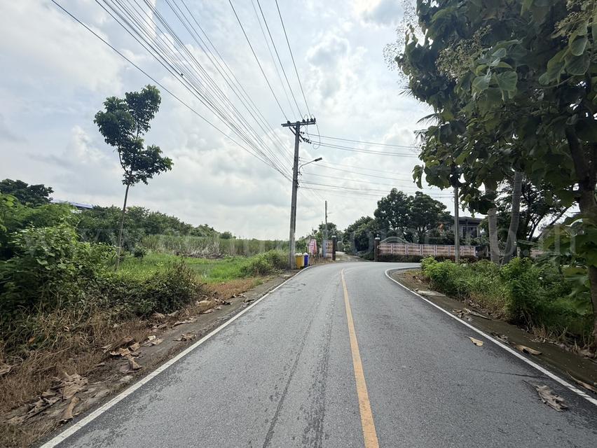 ที่ดินเปล่า 266 ตร.วา ท่าอิฐ 15 แยกตาลเดียว - วัดบางบัวทอง นนทบุรี 4