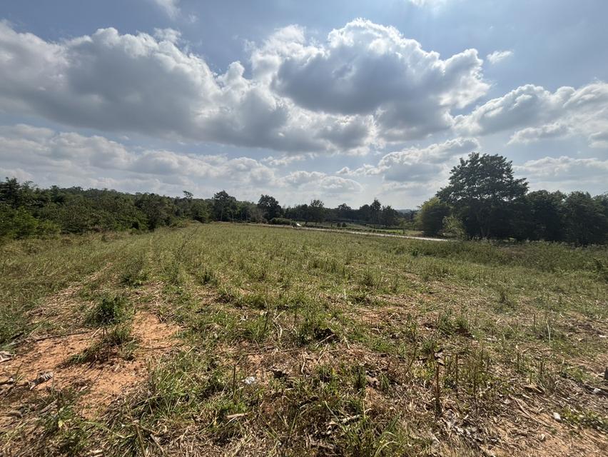 ที่ดินเปล่า ด้านหลังอำเภอ วังน้ำเขียว แบ่งขาย ได้ 3