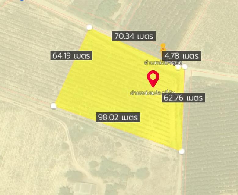 ขายที่ดินนาวังหิน 3 ไร่ ทำเลดีติดถนน2ด้าน ใกล้ถนนเส้น331-500เมตร อ.พนัสนิคม ชลบุรี 7