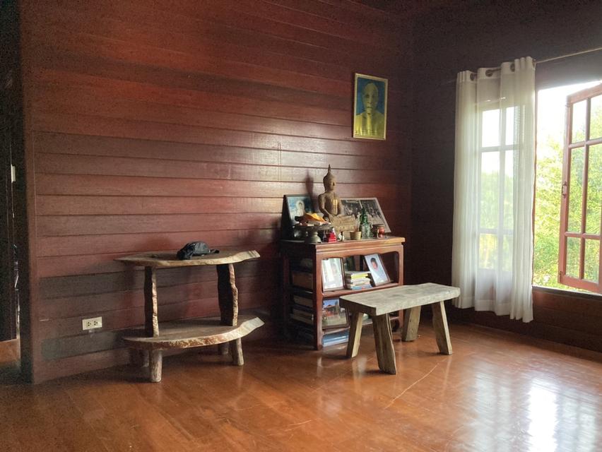 ขายบ้านเรือนไทยพร้อมที่ดิน เนื้อที่ 25 ไร่ 2งาน 51.4ตารางวา ตำบลทับสะแก อ.ทับสะแก จ.ประจวบคีรีขันธ์ 10