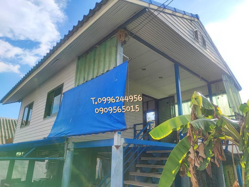 บ้านเดี่ยว 45 ตรว. ใกล้ ม.พฤกษา 3 วัดลาดปลาดุก บางบัวทอง 6