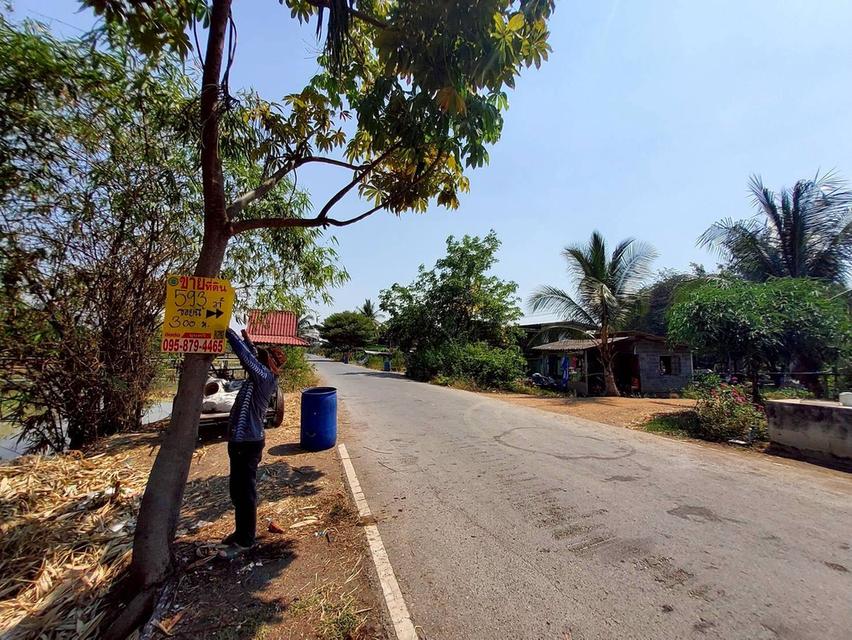 ขายถูกที่ดิน 593 ตรว ติดถนนสาธารณะ คลอง8 หนองเสือ ปทุมธานี 9
