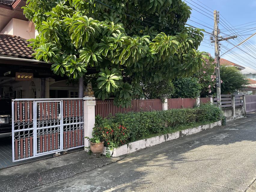  ขายบ้านเดี่ยวพร้อมอยู่  1