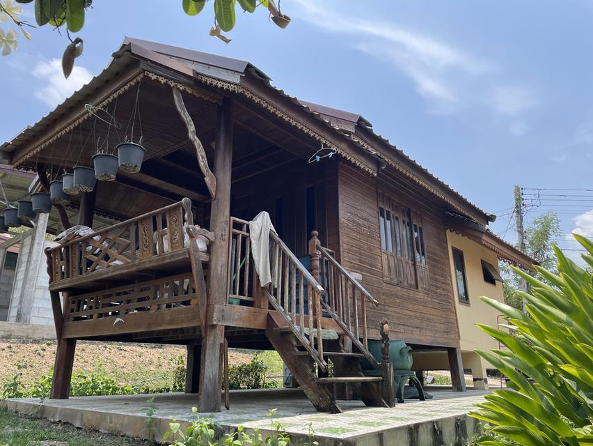 ขายที่ดินพร้อมสิ่งปลูกสร้าง จังหวัดเลย 4แปลง เนื้อที่ รวม 2ไร่ 91 ตรว 12