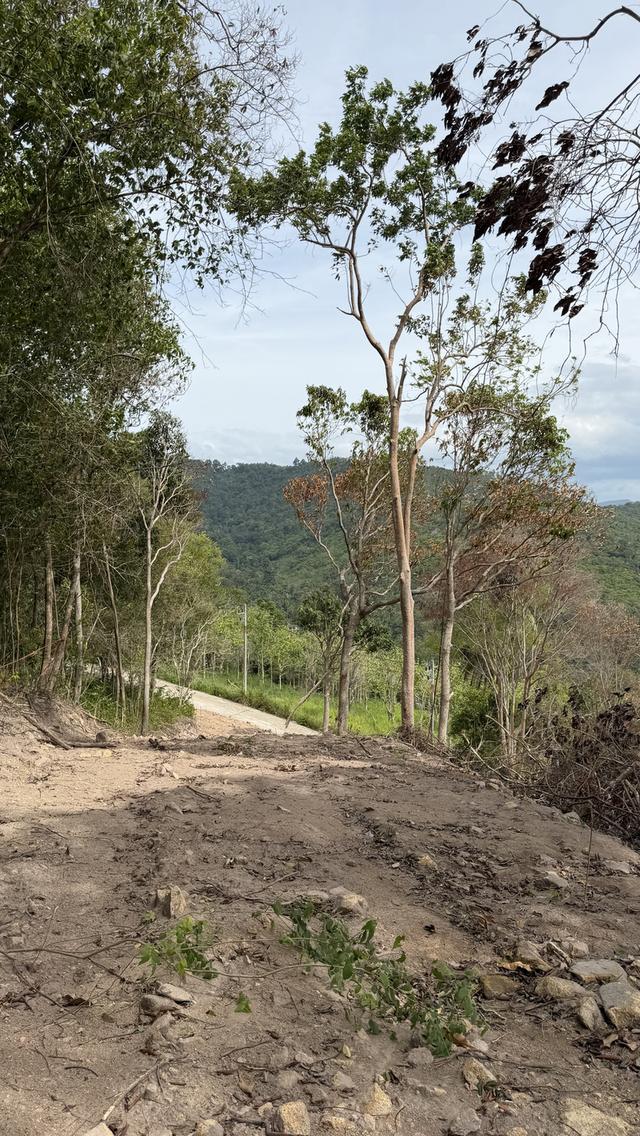 Prime Sunset & Sea View Land for Sale in Koh Samui – A Rare Investment Opportunity! 15