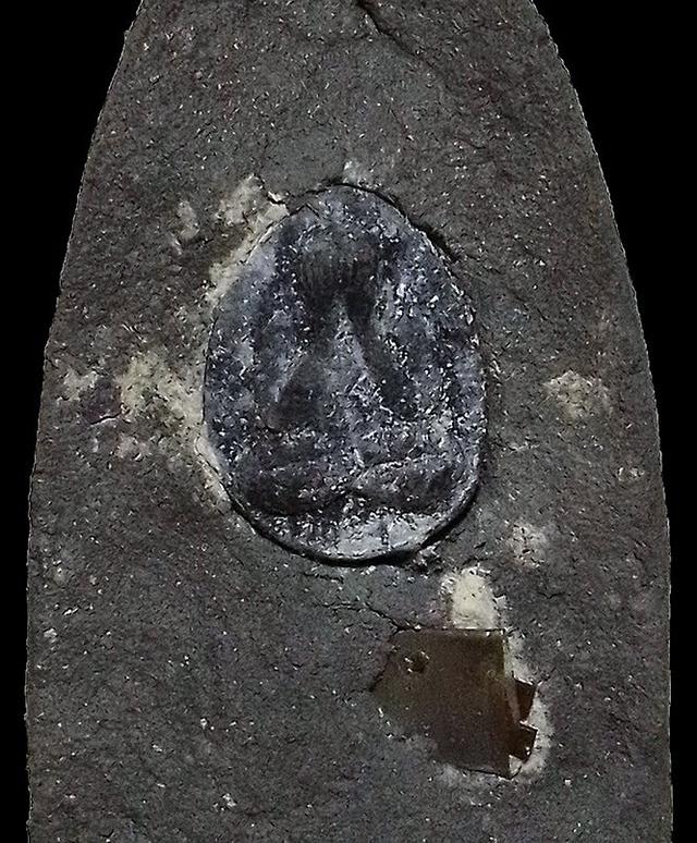 หลวงพ่อทวดหลังพระปิดตา หลวงพ่อดำ วัดนภาราม จ.นราธิวาส ปี2544 รูปที่ 5