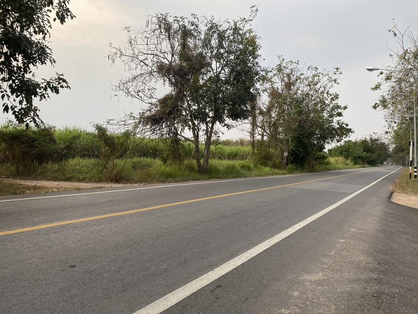 ขายที่ดิน เนื้อที่ 29 ไร่ เกาะจันทร์ จังหวัดชลบุรี 5