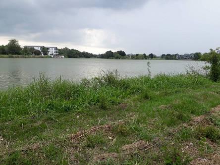 ขายที่ดินเปล่า 235 ตรว.ติดทะเลสาบ อยู่ในโครงการหมู่บ้านเดอะลากูน 1 ปทุมธานี 8