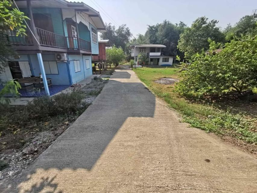 ที่ดินเปล่าติดแม่น้ำเจ้าพระยา 2 โฉนด พิกัด บ้านหัวแหลม หมู่ 1 ต.หาดทนง อ.เมืองอุทัยธานี จ.อุทัยธานี 7