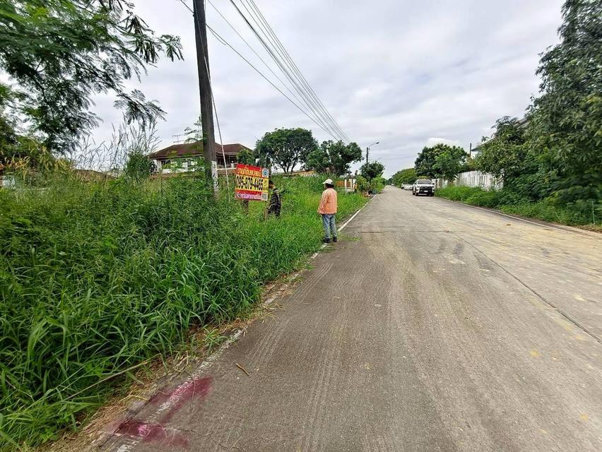 ที่ดิน 7