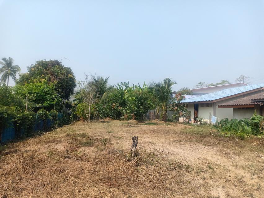 ที่ดินพร้อมบ้านราคาถูก🏡 8