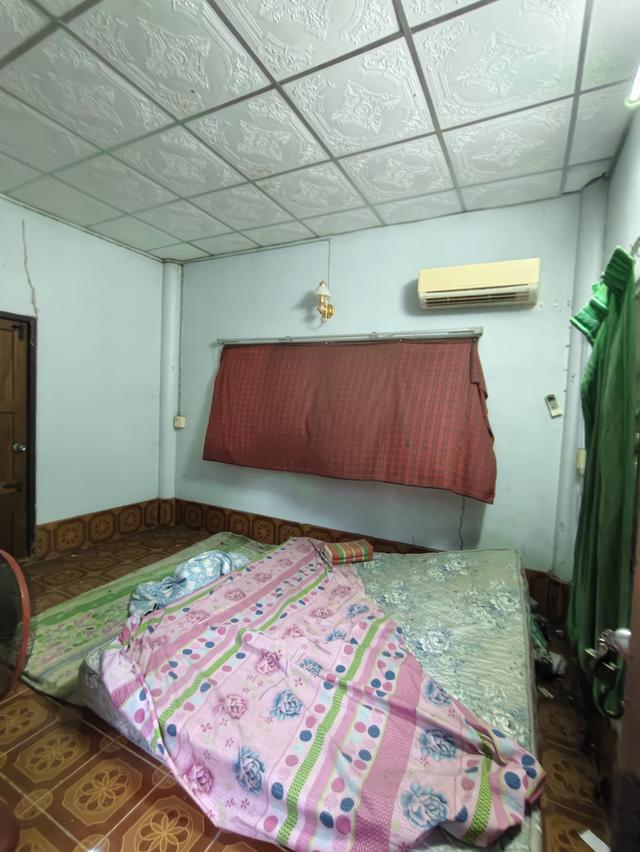 ขายที่ดิน บ้านและสวนมะพร้าว 17