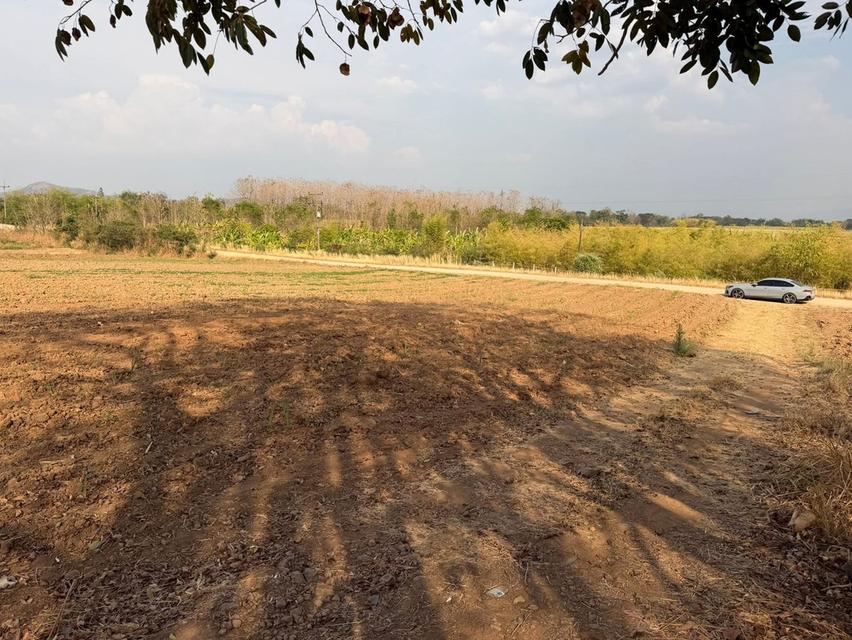 ขายที่ดินติดลำธารที่เพชรบูรณ์ 4