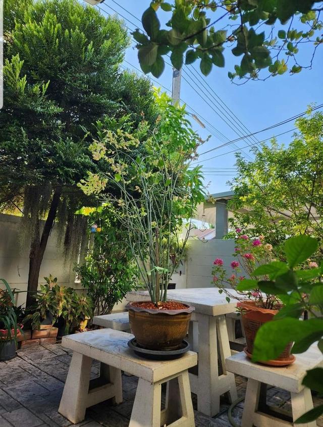 ขายบ้านเดี่ยวชั้นเดียวพร้อมที่ดิน หมู่บ้านมนตรีพฤกษาชล 2 – แม่กลอง จังหวัดสมุทรสงคราม 11