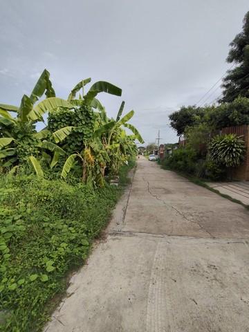 ขายที่ดินถมแล้ว 198 ตร.ว.ย่านนวมินทร์ หมู่บ้านศรีนครพัฒนา ใกล้เดอะมอลล์บางกะปิ เลียบด่วน ที่ดินถมสูงจากถระดับถนนประมาณ 60 ซ.ม. ถมมาแล้วประมาณ 5ปี 7