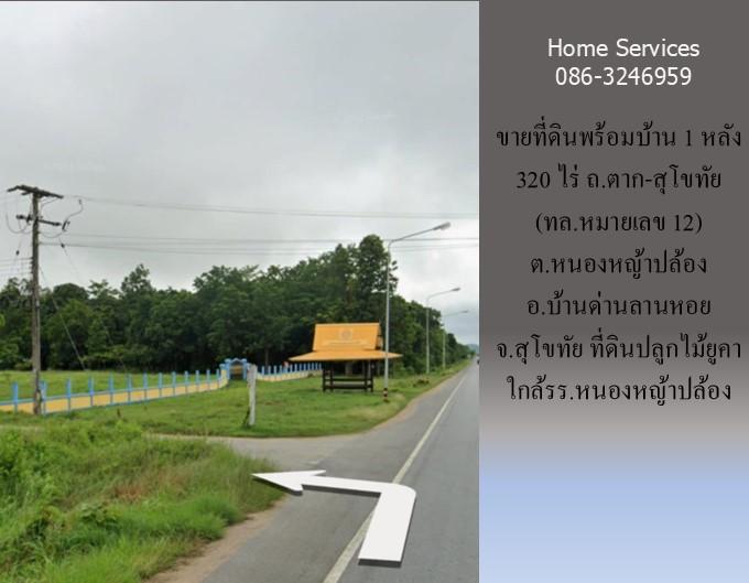 ขายที่ดินพร้อมบ้าน 1 หลัง 320 ไร่ ถ.ตาก-สุโขทัย (ทล.หมายเลข 12) ต.หนองหญ้าปล้อง อ.บ้านด่านลานหอย สุโขทัย ปลูกไม้ยูคา ใกล้รร.หนองหญ้าปล้อง         4