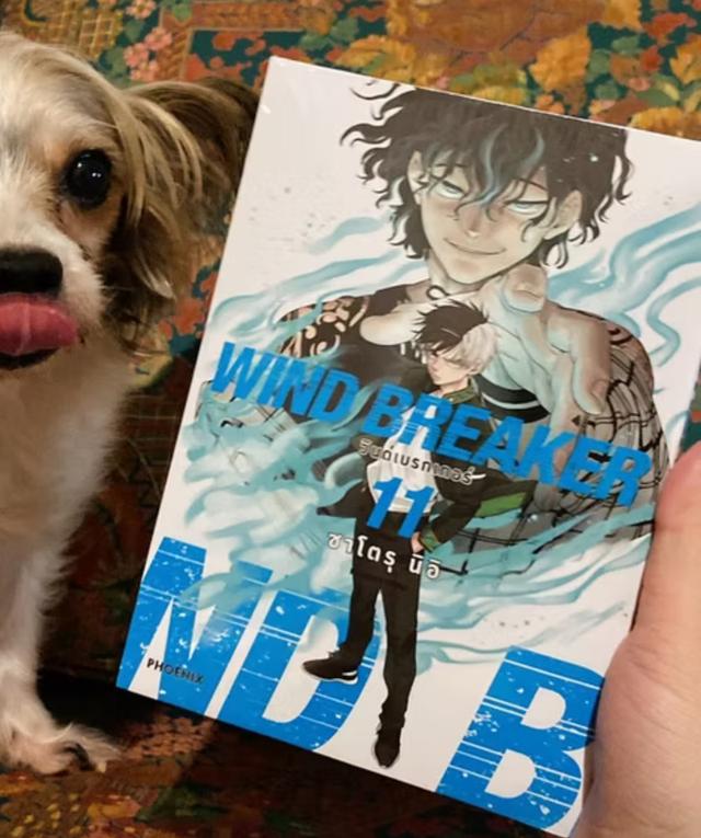 WIND BREAKER วินด์เบรกเกอร์  เล่ม 11  1