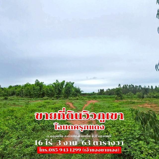 ขายที่ดิน 16 ไร่ 3 งาน 63 ตารางวา ติดถนนลาดยาง วิวภูเขา จ.กาญจนบุรี 30,000,000 บาท 11