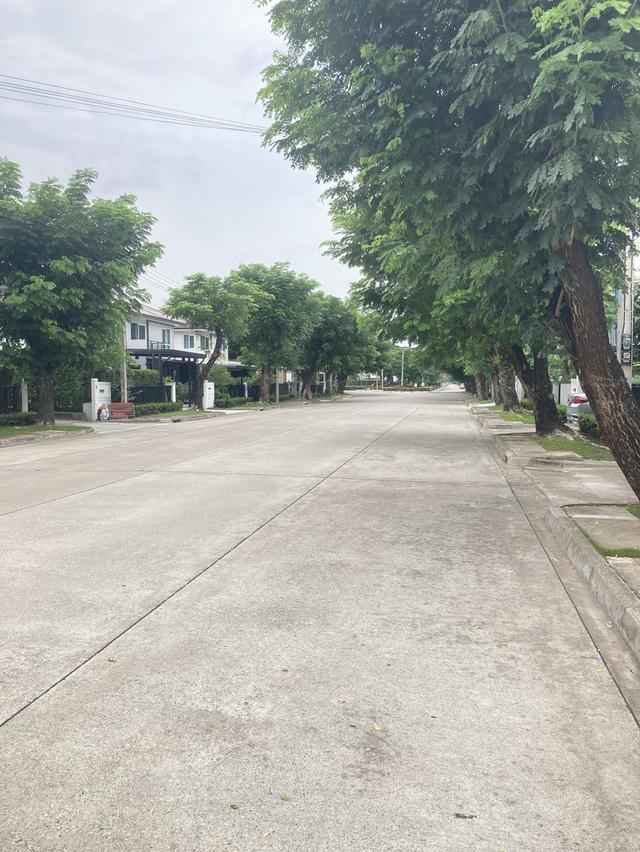 ขาย-ให้เช่า บ้านเดี่ยวพฤกษ์ลดา 3 ฟรีแอร์ทั้งหลัง ลำลูกกา ไสวประชาราษฏร์ 3