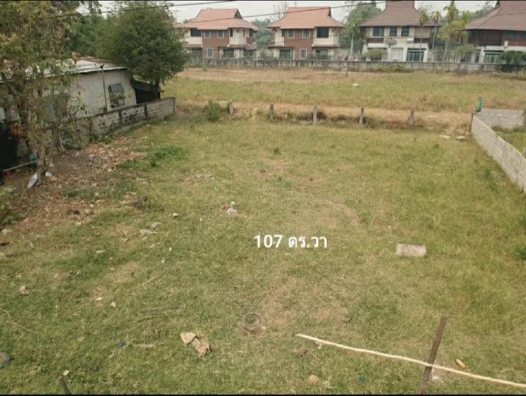 ขายที่ดินเปล่า 107 ตร.ว. 1.6 ล้านบาท พิกัด หนองควาย หางดง เชียงใหม่ 3