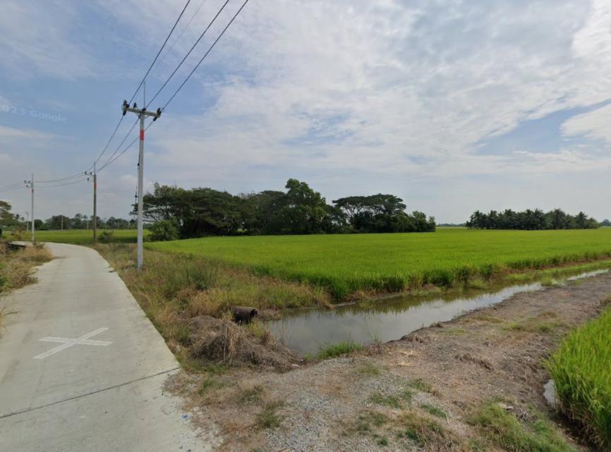 ขายที่ดินบางกะไห แปดริ้ว 6 ไร่ ติดคลองติดถนนคอนกรีตหลังวัดแพรกนกเอี้ยง ใกล้ถ.ฉช.2004 -900เมตร เมืองฉะเชิงเทรา 5