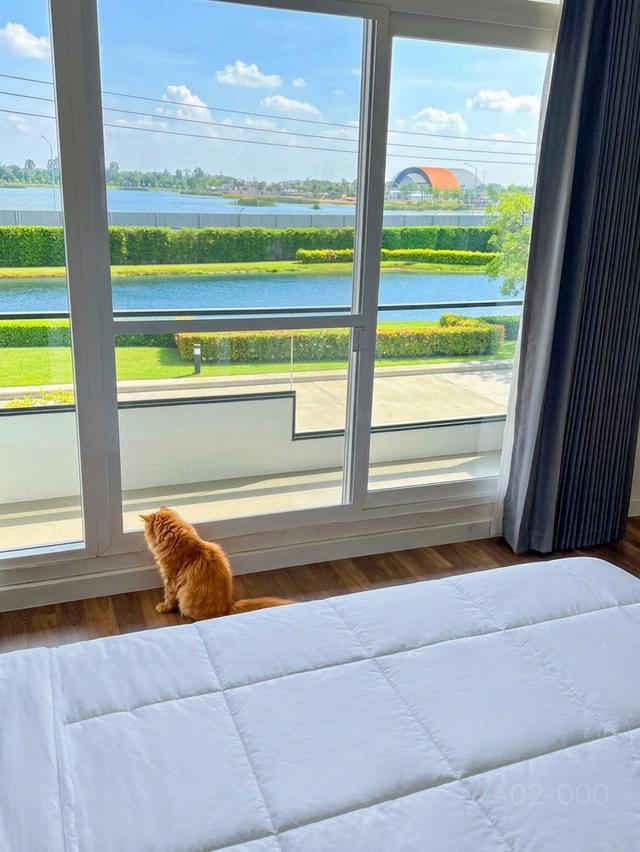 บ้านเดี่ยวติดพืชสวนโลก อุดรธานี โครงการสีวลี 4นอน 3ห้องน้ำ 2