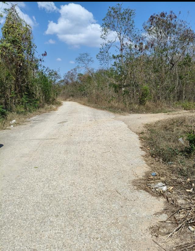 ที่ดิน พื้นที่สีม่วง 112ไร่ 4