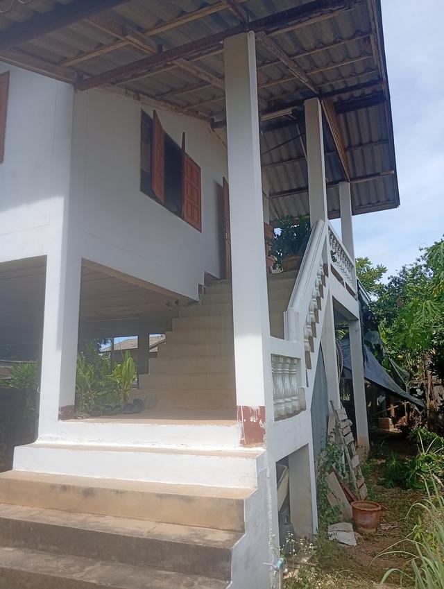 บ้านตึกชั้นเดียว ทรงไทย 1