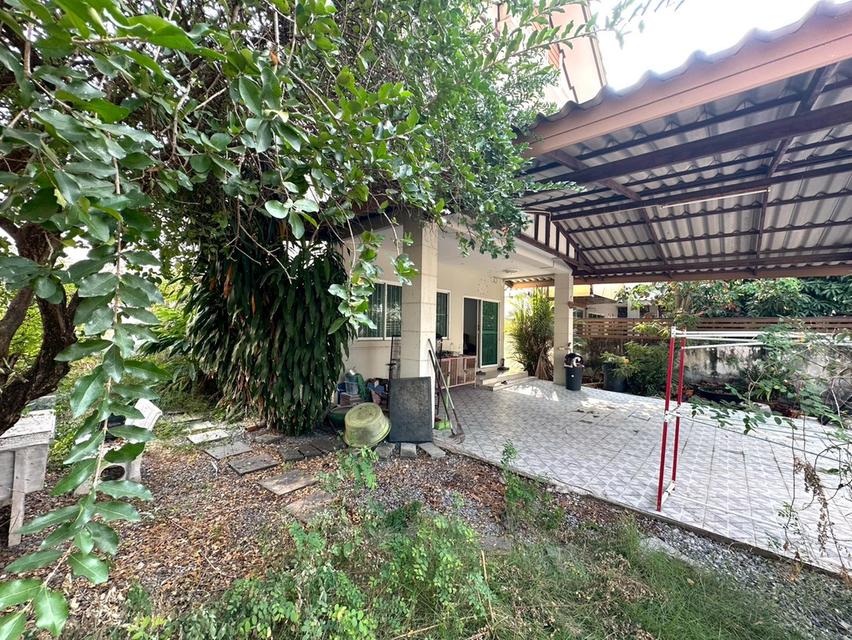 ขาย บ้านเดี่ยว วิสต้าวิลล์โครงการ3 คลอง8 (ขนาด 64 ตร.ว.) ถ.รังสิต นครนายก คลองหลวง ปทุมธานี : Vista Ville 3 Klong 8 15