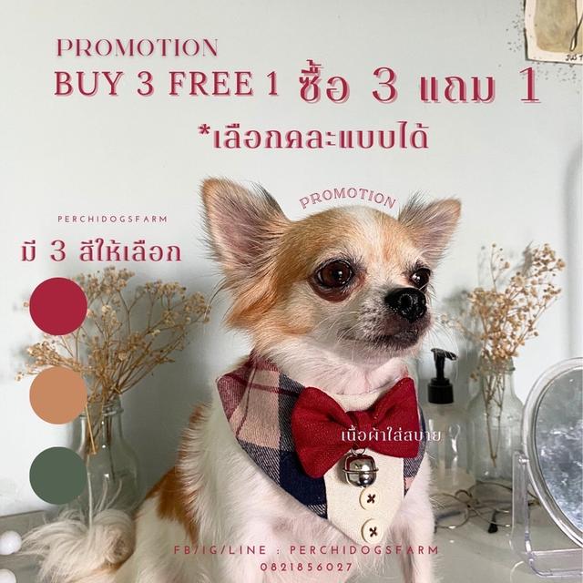 หมา ปลอกคอหมา 3เเถม1 คละเเบบได้ 7