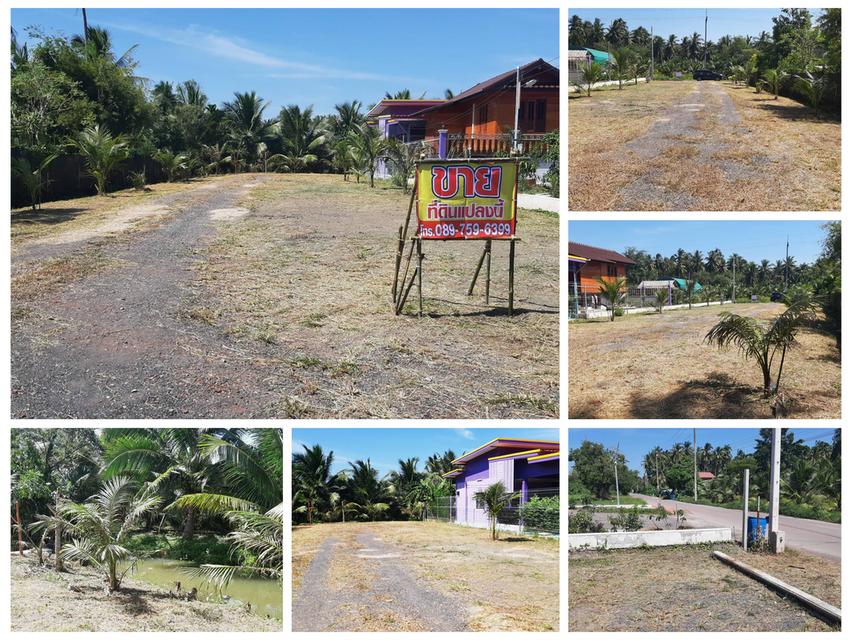 ขายที่ดินบางขันแตก เมืองสมุทรสงคราม 7
