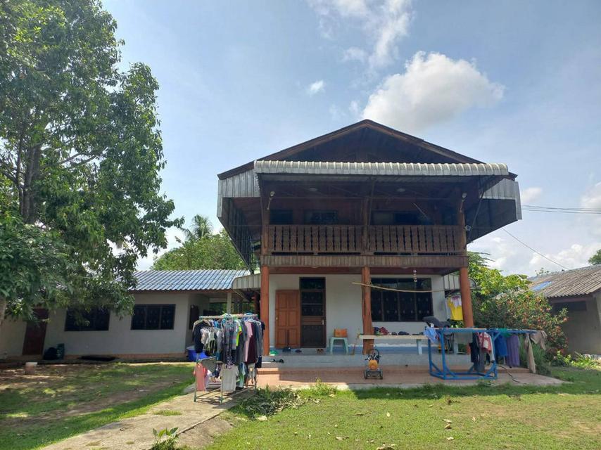 ขายที่ดินสิ่งปลูกสร้าง 13-3-22 ไร่ สวนมะม่วงน้ำดอกไม้ ตำบลพระธาตุผาแดง อำเภอแม่สอด จังหวัดตาก 3