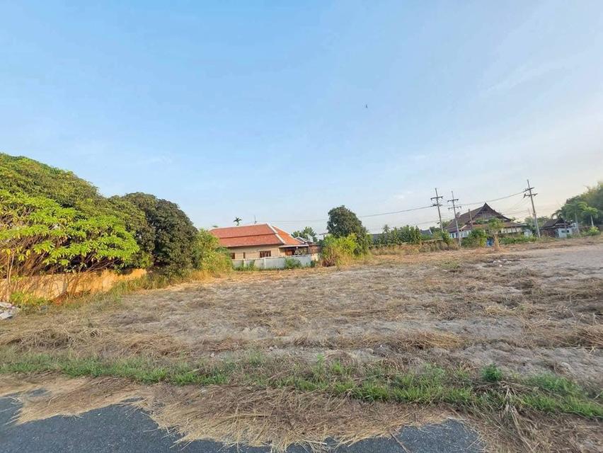 ขายที่ดินเปล่า แปลงสวยติดถนนสองด้าน บางเสร่ ชลบุรี 12