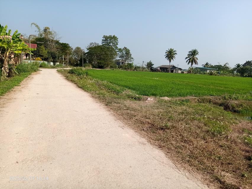 ที่นาจำนวน 4 ไร่ไร่ละ 250,000 บาททำนาได้ 2 ครั้งน้ำดี 2