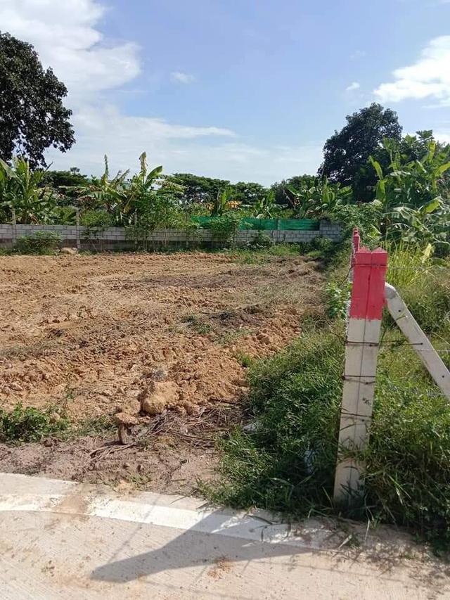 ขายที่ดินบางละมุง พัทยาถมแล้ว 200 ตรว. ซอยหลังวัดห้วยใหญ่ ใกล้ถนนสุขุมวิท3-6กม. จ.ชลบุรี 6