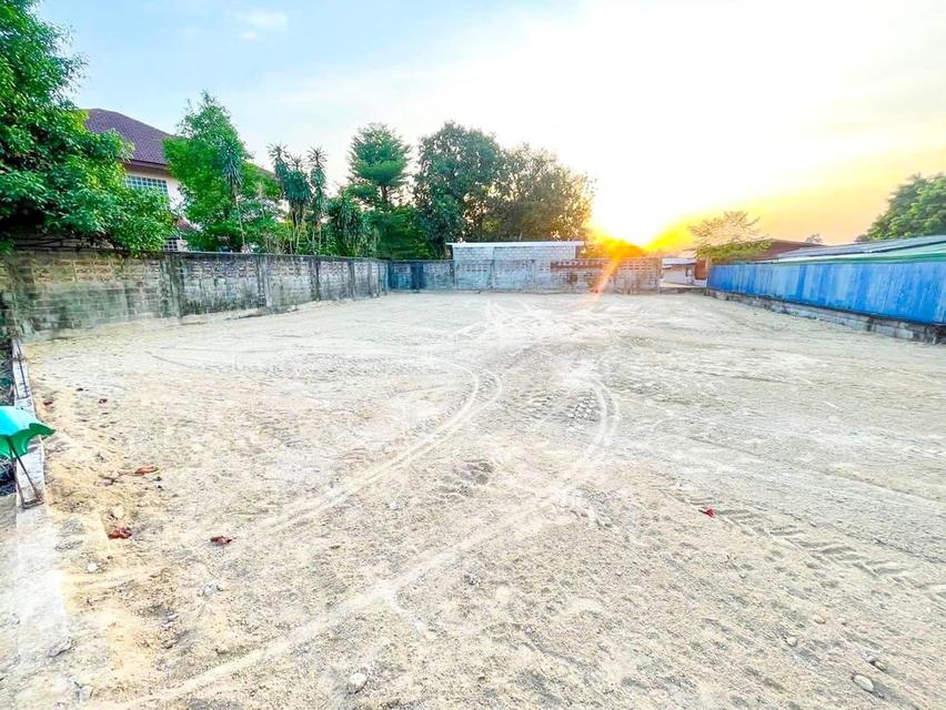 ขายที่ดินหนองปรือพัทยา เนื้อที่ 204 ตรว. ถมแล้วซอยสันติสุข4 ใกล้ห้างเทอร์มินอล ใกล้หาดจอมเทียน7กม. อ.บางละมุง ชลบุรี 1