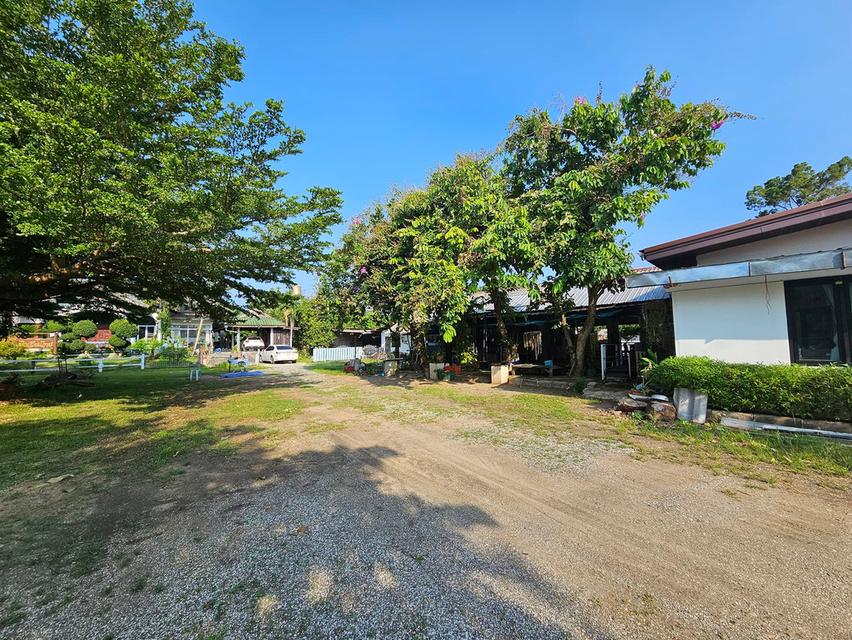  ขายที่ดิน ติดถนนใหญ่ พร้อมสิ่งปลูกสร้าง   ร้านนิวเรือนไทย   อ.ป่าซาง จ.ลำพูน 3