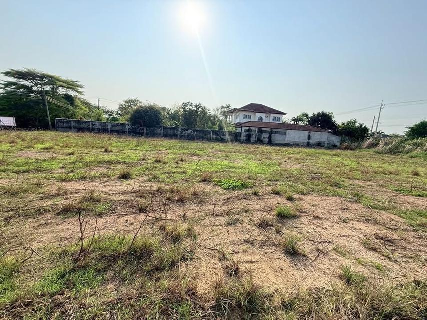 ขายด่วนที่ดิน 400 ตารางวา ติดถนนสาธารณะ คลองถนน บางใหญ่ นนทบุรี 6