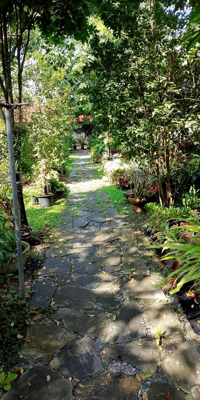 ที่ดินและสิ่งปลูกสร้างในที่ดิน 8