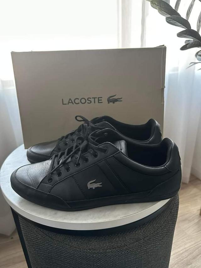 รองเท้า Lacoste มือสอง 3