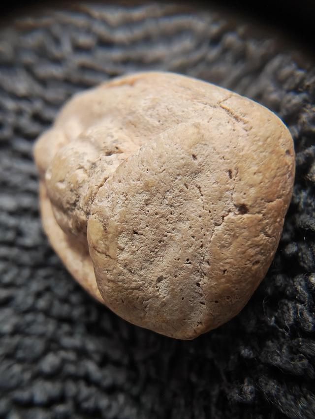 สมเด็จวัดพลับ พิมพ์พุงป่องใหญ่ รูปที่ 3