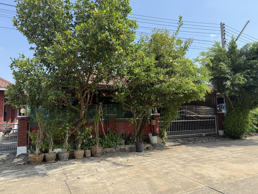 บ้านเดี่ยวยกพื้นสูงน่าอยู่ 2