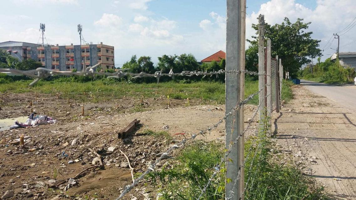 ขายที่ดินเปล่าถมแล้ว 2-3-71 ไร่ เฉลิมพระเกียรติ ร.9 ซอย 28 แยก 4 ใกล้สวนหลวง ร.9 แขวงดอกไม้ เขตประเวศ กรุงเทพๆ 3