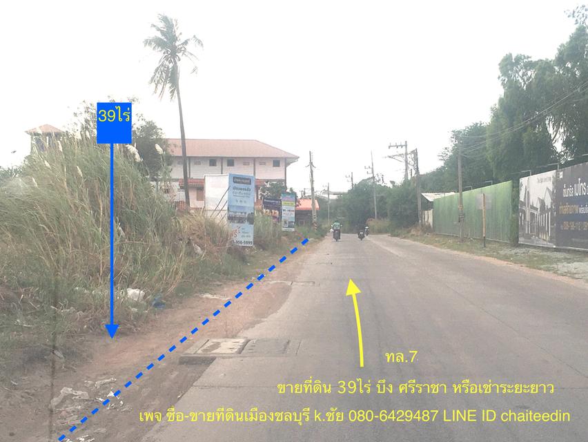 ขายที่ดิน บึง ศรีราชา 39.5ไร่ หรือ ให้เช่าระยะยาวที่ดินตำบลบึง ที่ดินติดถนน 3ด้านเนื้อที่รวม 39-2-97ไร่ ใกล้ตลาดวรกิจใกล้คู่ขนานมอเตอร์เวย์ ทำเลดี 4