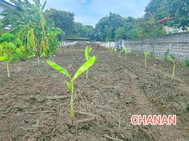 ขายที่ดิน ถ.แพรกษา ซ.เทศบาลบางปู26 อ.เมืองสมุทรปราการ จ.สมุทรปราการ เนื้อที่1ไร่86.8ตรว 5